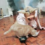 Onlyfans 奶咪 视图合集2