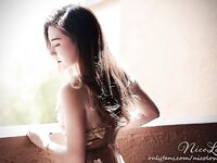 nicolove 视图合集