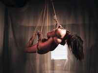 辉夜姬 视图全套合集