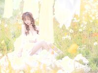 夏日限定 - 晒衣服 [41P69MB]