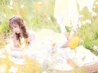 夏日限定 - 晒衣服 [41P69MB]