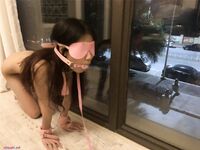 【春节巨献】91大神约操极品淫妻大尺度性爱私拍流出 多姿势抽插 豪乳女神篇 完美露脸 高清私拍883P 高清720P版