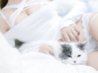 我和猫 [90P-114MB]