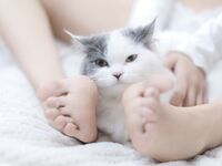 我和猫 [90P-114MB]