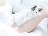 我和猫 [90P-114MB]