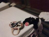 【偷拍流出】东莞桑拿选妃的真实生活偷拍[无水原版]（上）