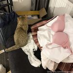 留学巨乳嫩妹付费订阅福利