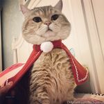 留学巨乳嫩妹付费订阅福利