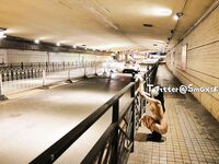 【外网精选】推特Smaxskin& FMiu00主奴博主视图新作合集