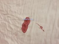 百度云泄密流出 平时斯斯文文学舞蹈的妹子 被分手的男友曝光不为人知的一面 2