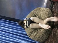 百度云泄密流出 平时斯斯文文学舞蹈的妹子 被分手的男友曝光不为人知的一面 2