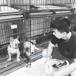 百度云泄密流出 平时斯斯文文学舞蹈的妹子 被分手的男友曝光不为人知的一面 高清私拍400P 高清1080P版