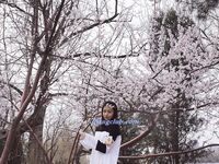 百度云泄密流出 平时斯斯文文学舞蹈的妹子 被分手的男友曝光不为人知的一面 高清私拍400P 高清1080P版