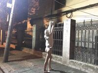 【度云泄密】和极品女友，记录日常和精彩时刻，‘唔，别拍啦’，‘不拍了’男人的嘴，74P1V ！