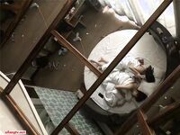 大神约操极品身材淫妻大尺度性爱私拍流出 108V