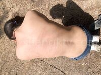 最新破解良家小媳妇相册8（骚母狗玩3psm品尿）106p+74v