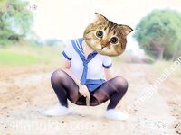 学校附近村庄路口大尺度露出