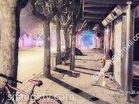 全裸露出被十六个路人看光身体