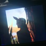 著名模特（yuer）大尺度下海资源流出，已绝版36V+165P