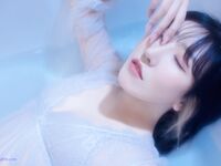 著名模特（yuer）大尺度下海资源流出，已绝版36V+165P