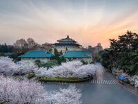 推特超火清纯系校花美少女《不二妹妹》精彩福利视图流出 宅男的最爱