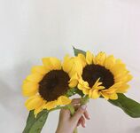 推特超火清纯系校花美少女《不二妹妹》精彩福利视图流出 宅男的最爱