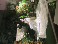 最新破解良家小媳妇没有男人，自己在家自慰