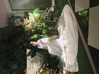 最新破解良家小媳妇没有男人，自己在家自慰