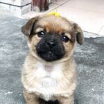 【唯美佳作❤️极品推荐】最新推特色影师『YUZA』唯美新作 一丝不挂 性爱与灵欲完美结合 高清私拍443P 高清720P版