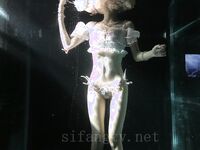 抖音狗头萝莉珍藏合集