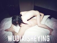 情色摄影大佬WUDI系列 无码超庞大合集 也是非常出名的一位!