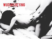 情色摄影大佬WUDI系列 无码超庞大合集 也是非常出名的一位!