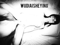 情色摄影大佬WUDI系列 无码超庞大合集 也是非常出名的一位!