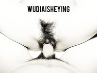 情色摄影大佬WUDI系列 无码超庞大合集 也是非常出名的一位!