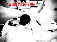 情色摄影大佬WUDI系列 无码超庞大合集 也是非常出名的一位!