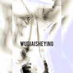 情色摄影大佬WUDI系列 无码超庞大合集 也是非常出名的一位!