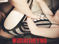 情色摄影大佬WUDI系列 无码超庞大合集 也是非常出名的一位!