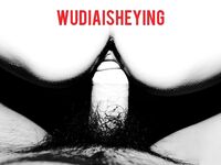 情色摄影大佬WUDI系列 无码超庞大合集 也是非常出名的一位!