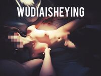 情色摄影大佬WUDI系列 无码超庞大合集 也是非常出名的一位!