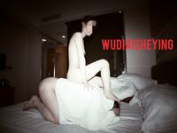 情色摄影大佬WUDI系列 无码超庞大合集 也是非常出名的一位!