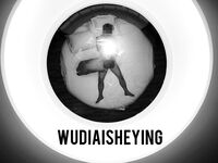 情色摄影大佬WUDI系列 无码超庞大合集 也是非常出名的一位!