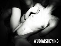 情色摄影大佬WUDI系列 无码超庞大合集 也是非常出名的一位!