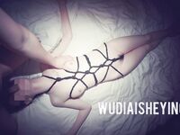 情色摄影大佬WUDI系列 无码超庞大合集 也是非常出名的一位!