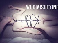 情色摄影大佬WUDI系列 无码超庞大合集 也是非常出名的一位!