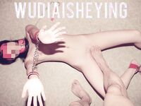 情色摄影大佬WUDI系列 无码超庞大合集 也是非常出名的一位!