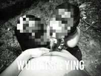 情色摄影大佬WUDI系列 无码超庞大合集 也是非常出名的一位!