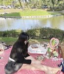 推特女神记录从学生时代到怀孕生孩子全蜕变 孕期下海卖奶水 快递直接躺在怀里喝的那种