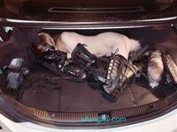 高能预警穴生干部.悠悠极品反差女神大尺度流出