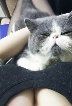 轩子高清无水印