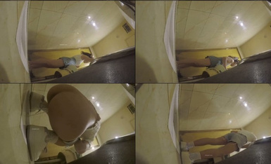 十一月最新流出私房偷拍大神 晓月原创朋友聚会KTV厕拍03-网红脸+香菜妹妹